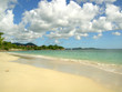 anse desert (martinique)