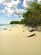 anse desert (martinique)