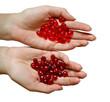 pills & berries