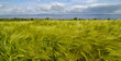 ireland landscape