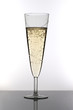 sektglas champagne glass sektglas champagne glass