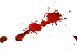 bloodstain