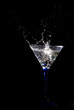 champagne splash champagne splash