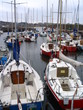 harbour boats