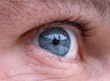 auge