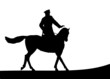silhouette of the horseman