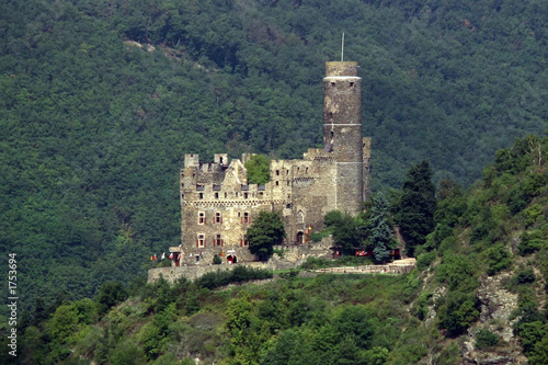 rhine valley castle