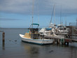 hawaiian boats