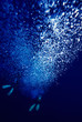 bubbles 'n fins