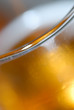 refreshing glass of beer