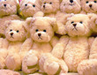 teddybears stockholm