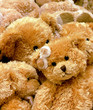 teddybears stockholm #2