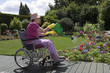 watering the garden