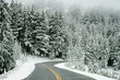 snow road 4 snow road 4