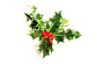 holly holly