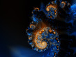 sea spiral