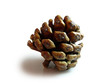 cone