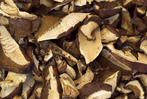 dehydrated slices of mushrooms - macro
