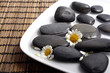 black pebbles and white daisies in water
