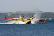 idrovolante canadair cl-415 anti-incendio #10 idrovolante canadair cl-415 anti-incendio #10