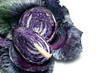 baby red cabbage