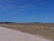 wind farm