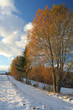 winter meet autumn winter meet autumn