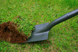 digging up the past