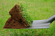 spadeful of dirt