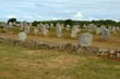 les menhirs les menhirs
