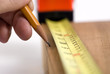 measuring for the cut (shallow dof)