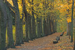 herbst 2