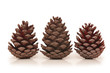 three pine cones isolated on white background
