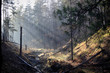 sun rays in the ravine