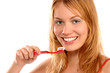 brushing teeth brushing teeth