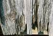 old barn board