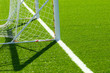 goal detail