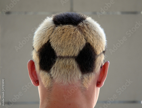 football fan