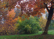 autumn park (5)