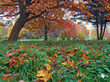 autumn park (7)