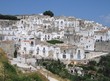 white houses
