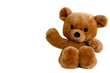 brown teddy bear