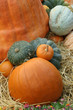 pumpkins on hay