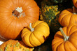 pumpkin decor