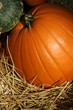 pumpkin display