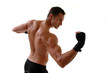 boxer