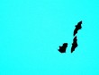 fruit bats 26.