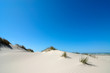 summertime in denmark
