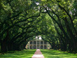 oak alley