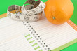 diet journal